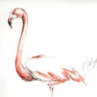 /album/fotogalerie-uvodni-stranka/a09-jpg4/